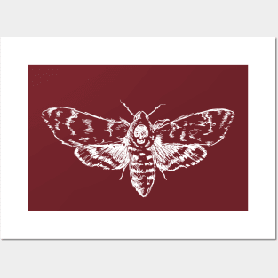 Death's-Head Hawkmoth in White Illustration Posters and Art